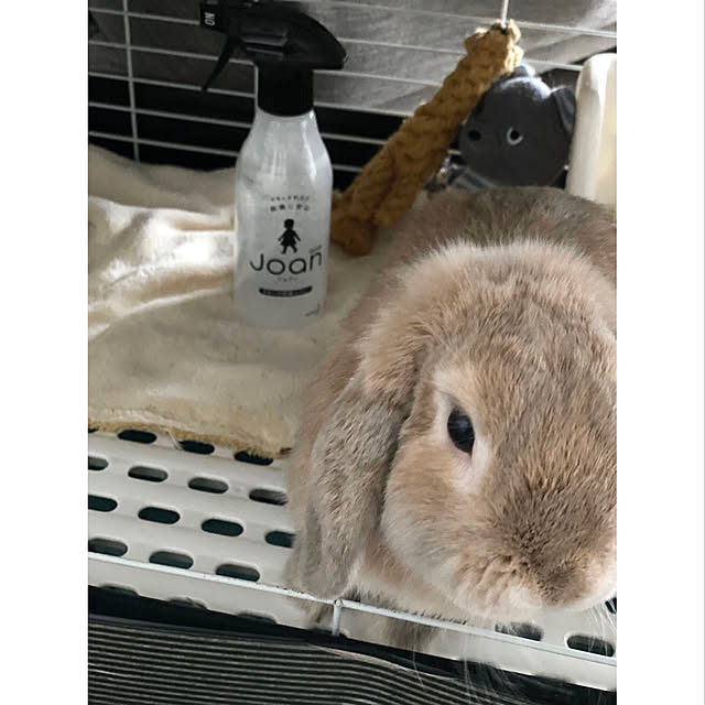 chiiiii0808さんの実例写真