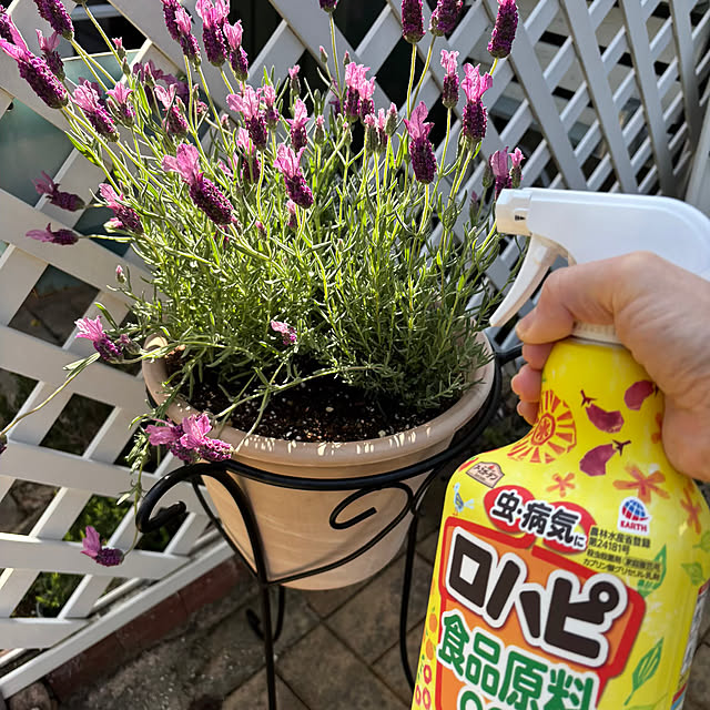 momocchiさんの部屋