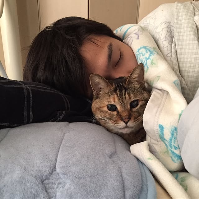 hatsumiさんの実例写真