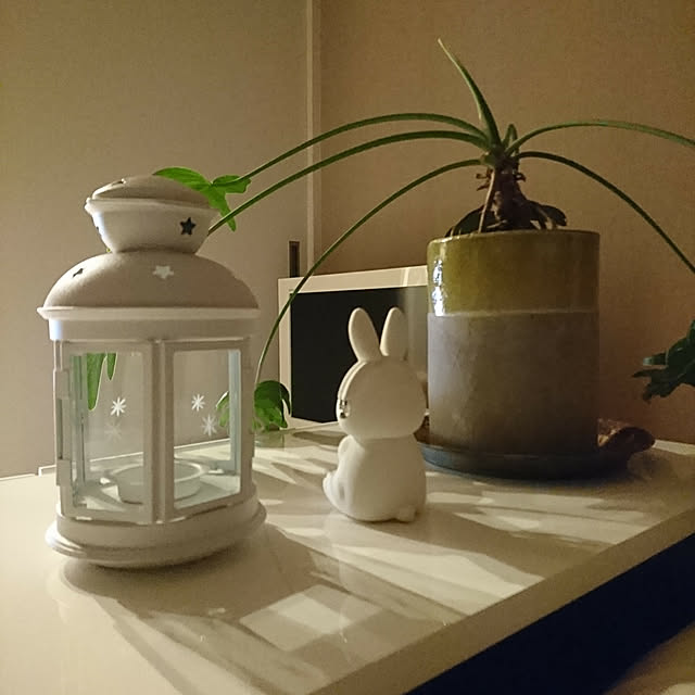 ベッド周り/白メイン/観葉植物/IKEAのインテリア実例 - 2018-08-16 22:34:40