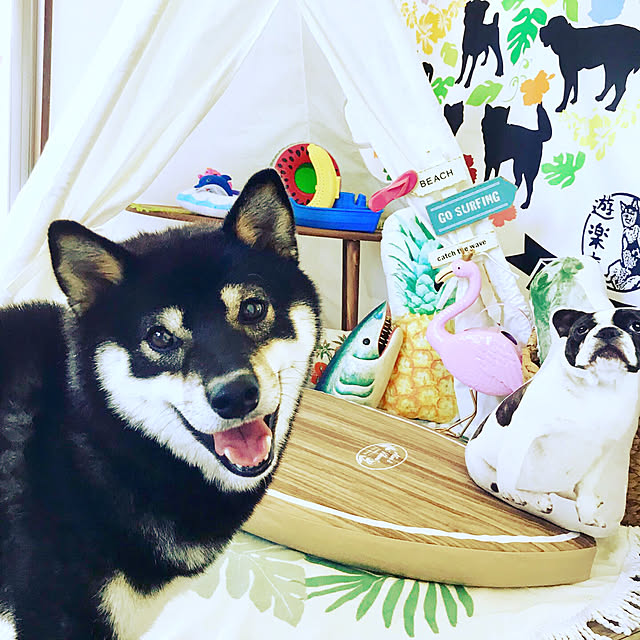 oyasumiさんの実例写真