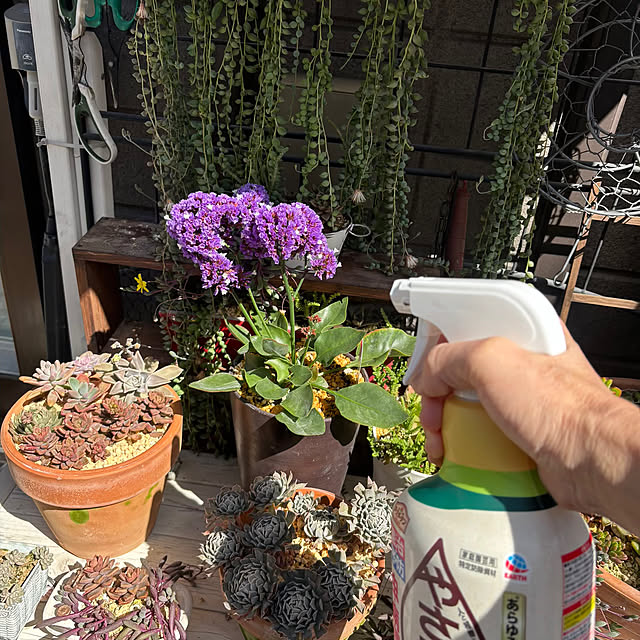 momocchiさんの部屋