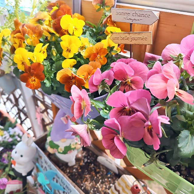 mariaさんの部屋