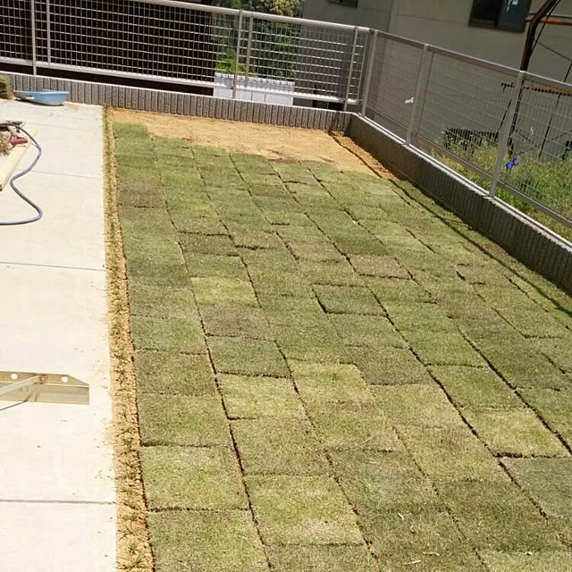 実例写真