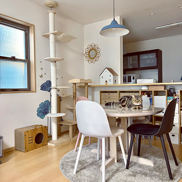 chiiさんの実例写真