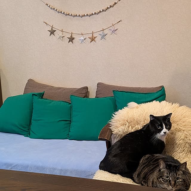 Mayumi8888さんの実例写真