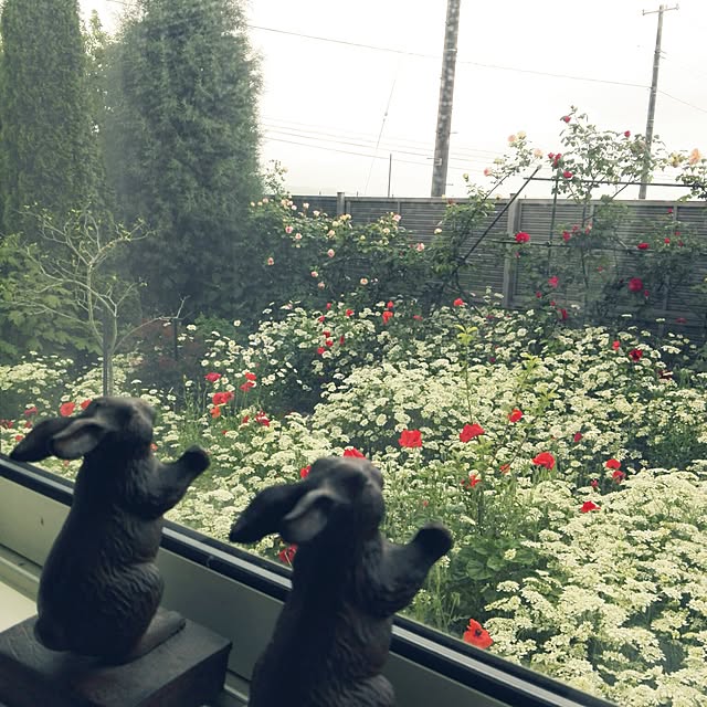 noraさんの実例写真