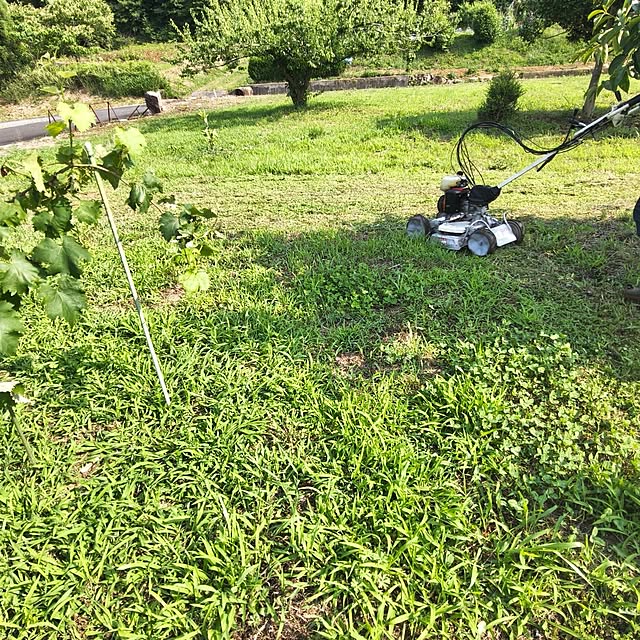 Rubiconさんの部屋