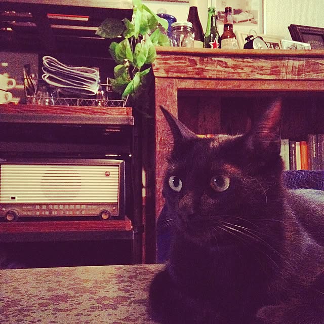 Naoki.さんの実例写真