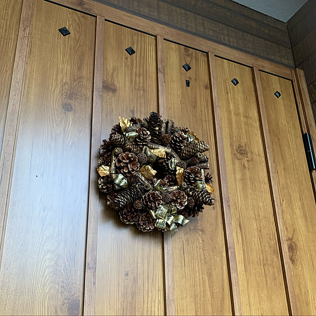 megaphonic0510さんの実例写真