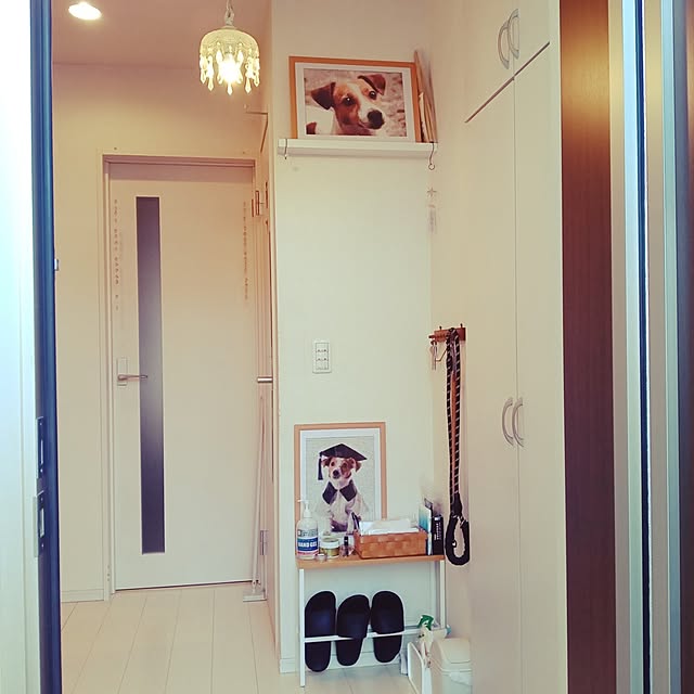mintさんの実例写真