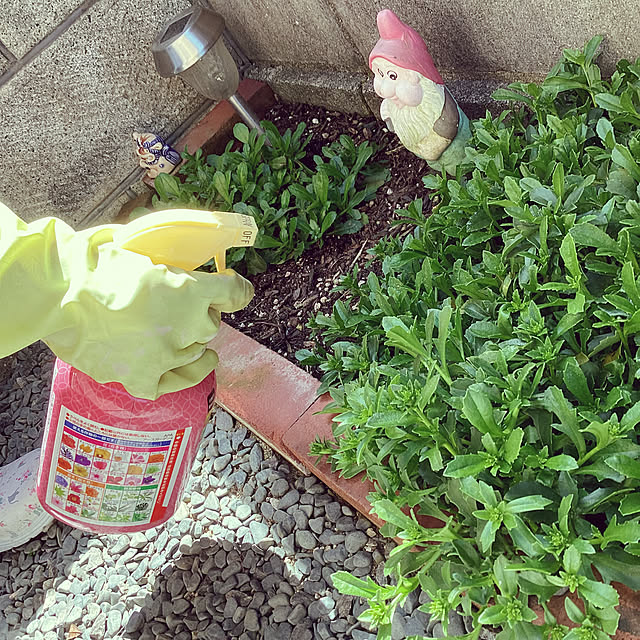 richanさんの部屋