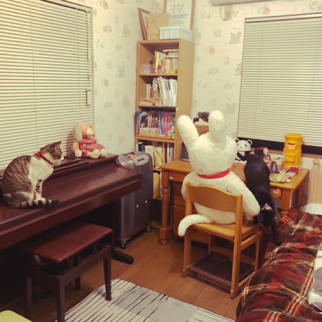 jijiさんの実例写真