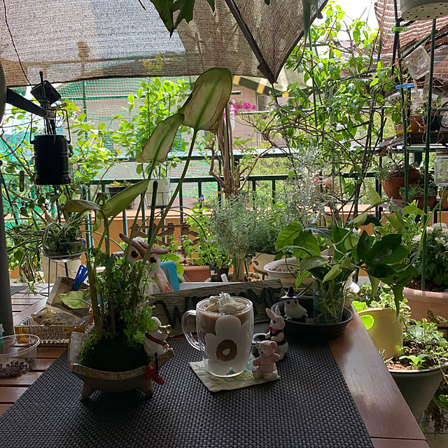 Aqettyさんの部屋