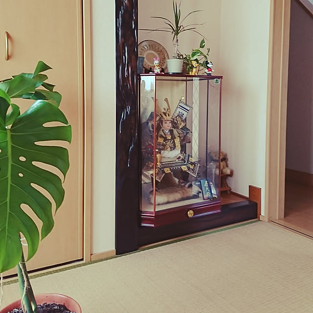 棚のインテリア実例 - 2019-06-10 19:39:05