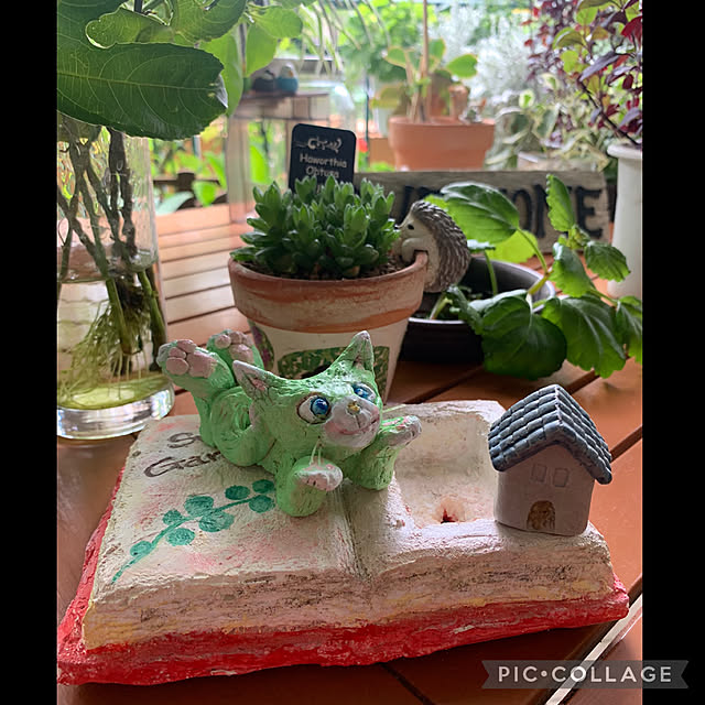 Aqettyさんの実例写真