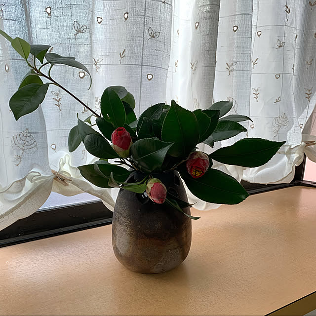 tudukiさんの実例写真