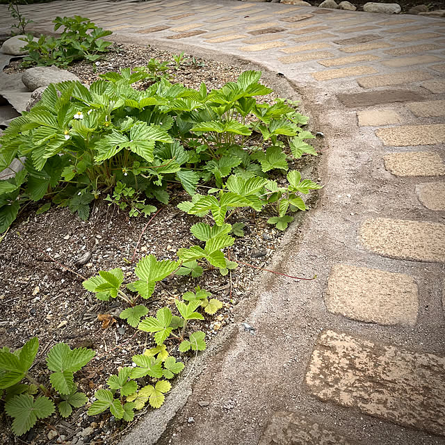 Rainさんの部屋