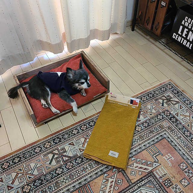 lovepeaceさんの実例写真