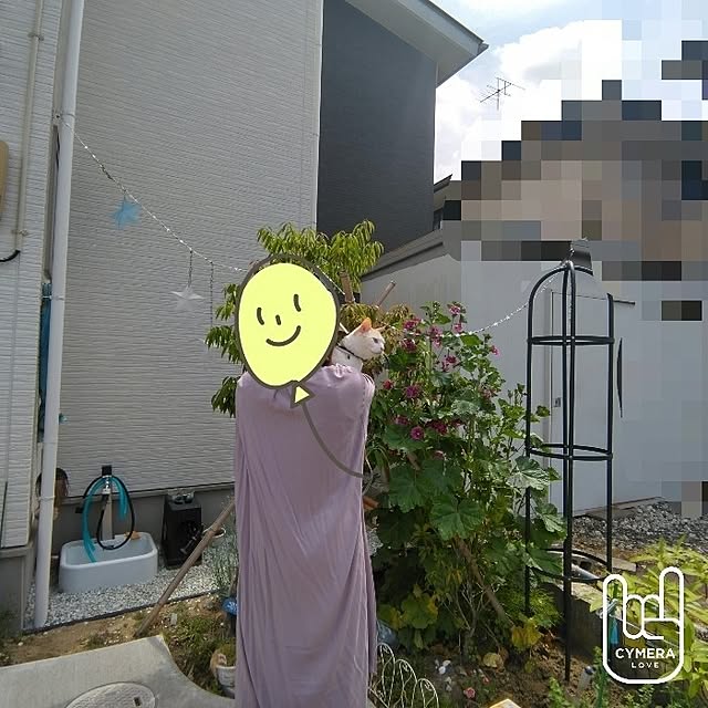 nrsim+kmymさんの部屋
