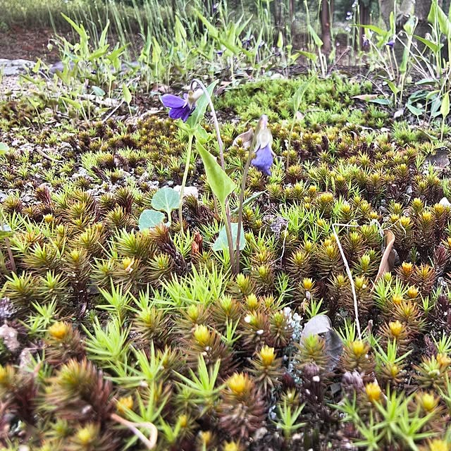 Rubiconさんの部屋