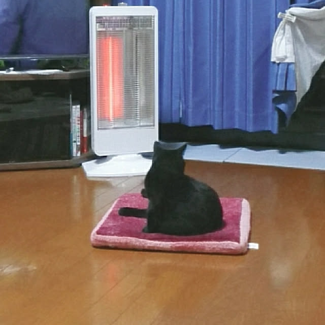 saamamaさんの実例写真