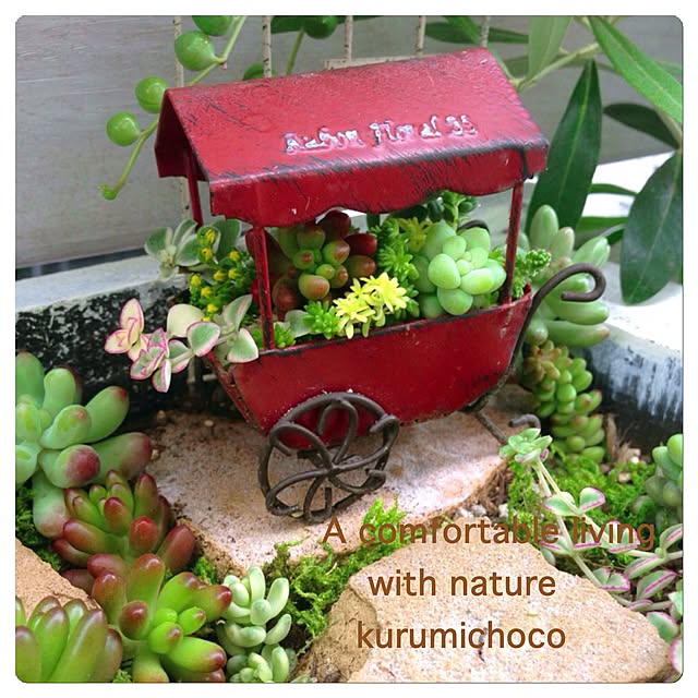 kurumichocoさんの実例写真