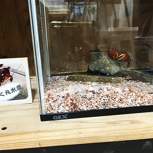 a_familyさんの部屋