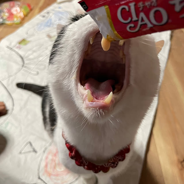 nekosamaさんの実例写真