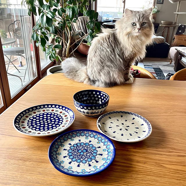 akimamさんの部屋