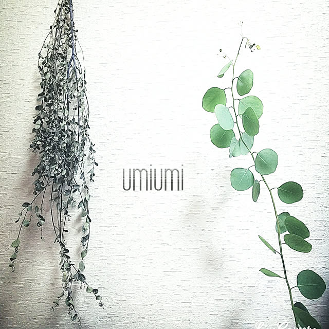 umiumiさんの実例写真