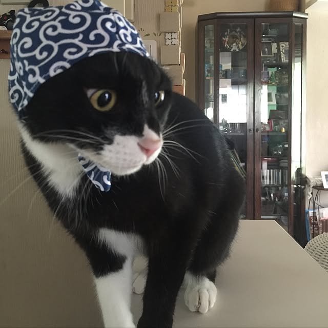 mtkさんの実例写真