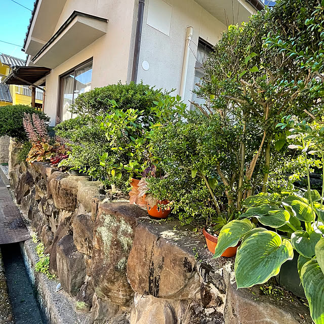 buchiさんの部屋