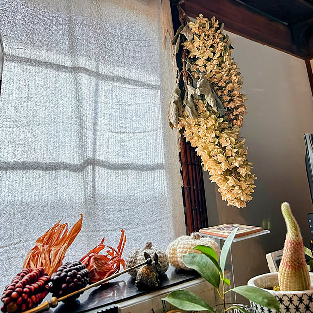 akaidarumaさんの部屋