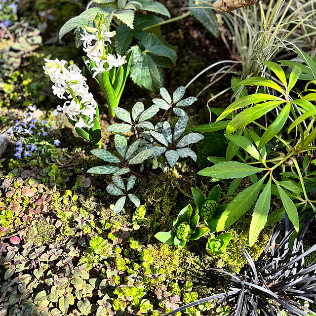 kyoko1124koさんの部屋