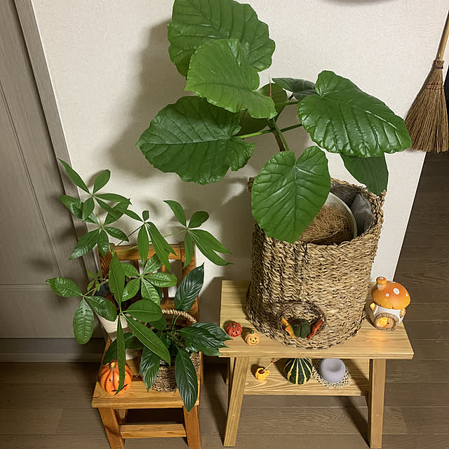 JUNさんの実例写真