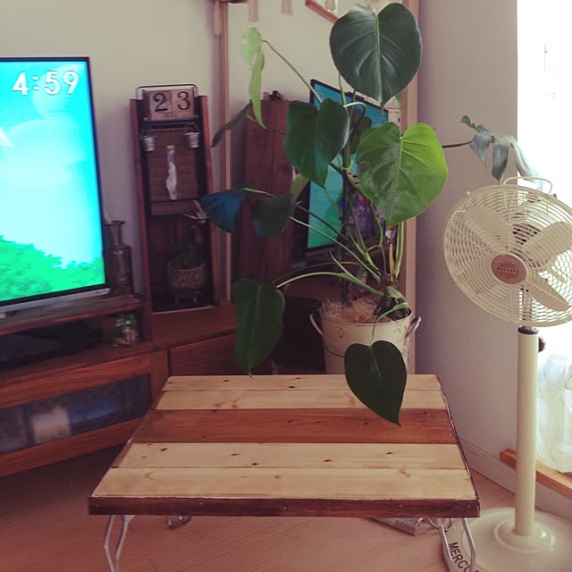 tomoさんの実例写真