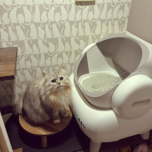 akimamさんの実例写真