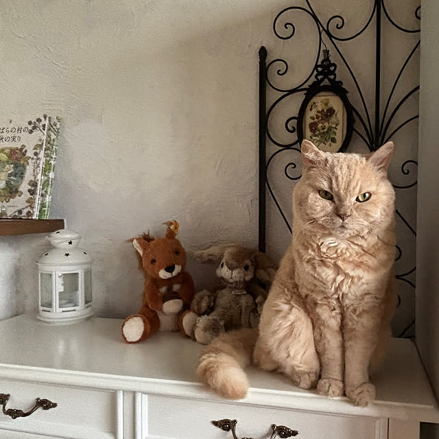 naokoさんの部屋