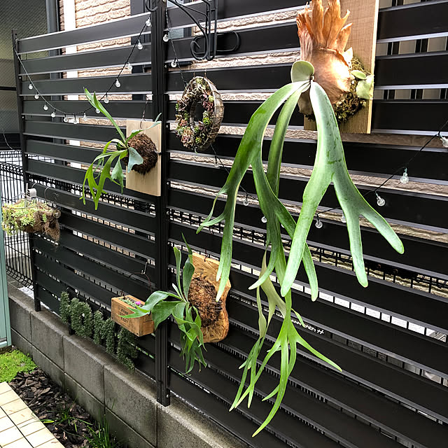 CoffeeHouseさんの部屋