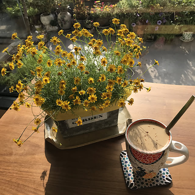 fuyiqian1026さんの実例写真