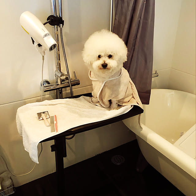 トリミングテーブル トリミング台 ブルー 小型犬 折りたたみ可能