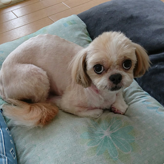 ronさんの実例写真