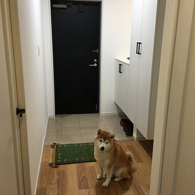 kokoranranさんの実例写真