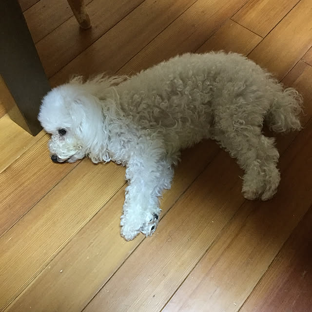 kakoさんの実例写真