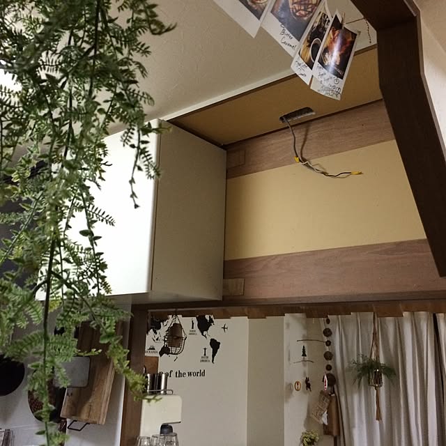 kirikabuさんの実例写真