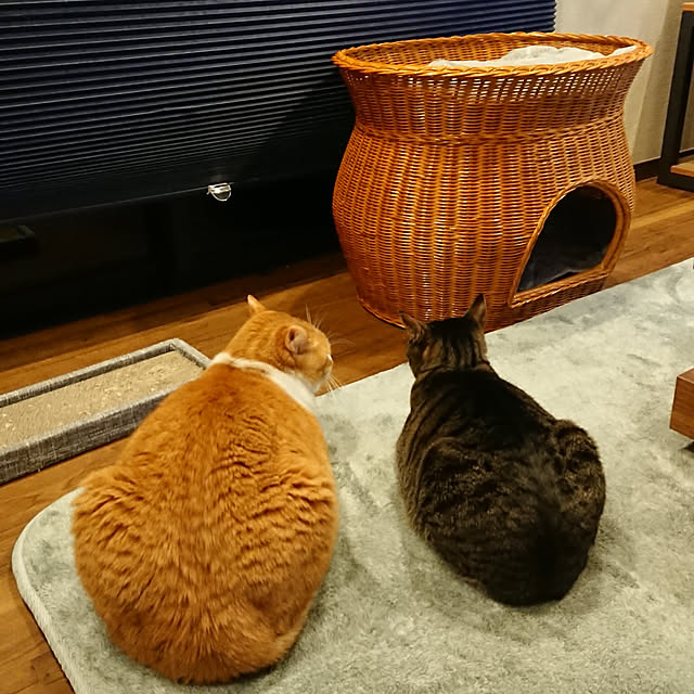 taka-kiさんの実例写真