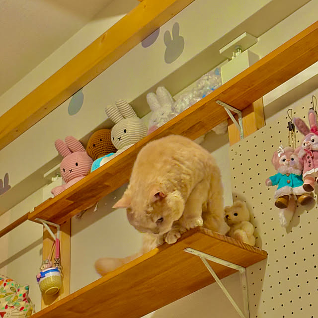 naokoさんの部屋