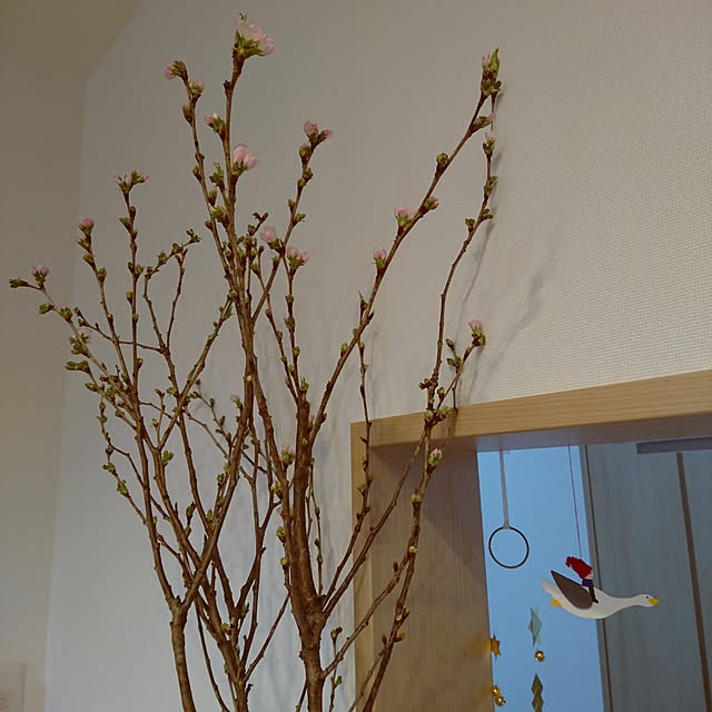 m.kom0923さんの実例写真