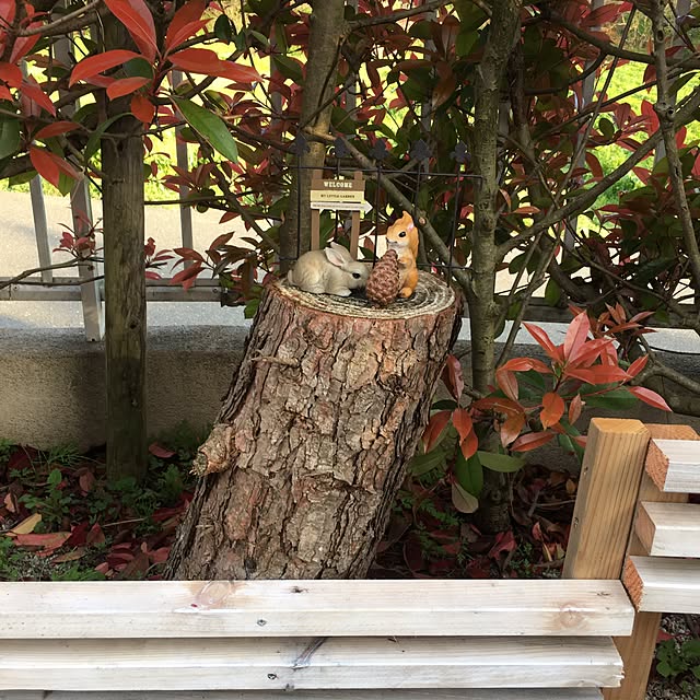 Kiohikoさんの実例写真